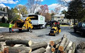 Best Sod Installation  in Lithopolis, OH