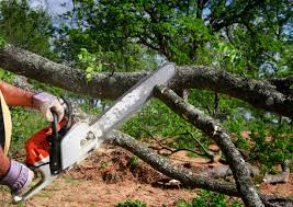 Best Tree Removal  in Lithopolis, OH